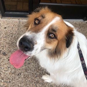 Meet your Posher, Hope